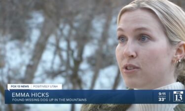 Emma Hicks’ hike of the Elephant Rock Trail turned into a rescue mission Friday when she came across the dog right near the top.