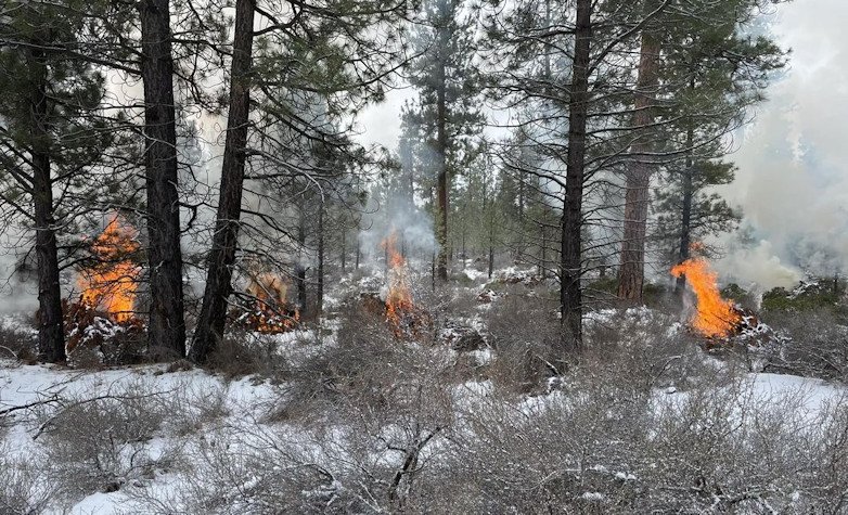 Recent pile burning near Sisters