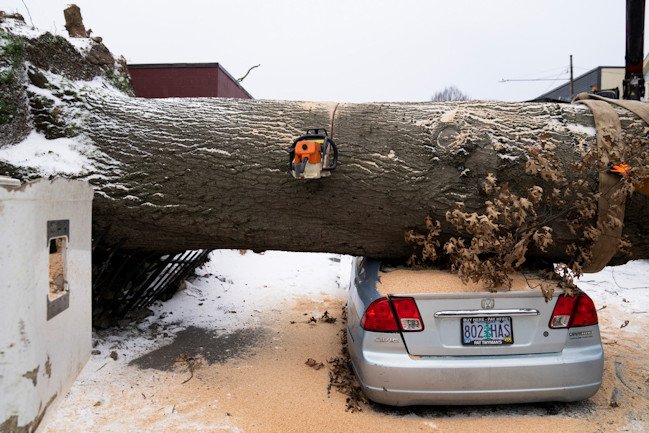 A chainsaw rests in a downed tree as workers pause cutting  in Portland