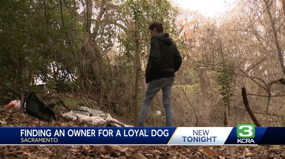 <i>KCRA</i><br/>A group of women are searching for a rescue facility to foster a dog that helped lead them to his owner's body.