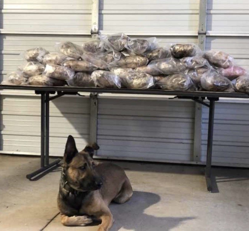 <i>Pickens County Sheriff's Office</i><br/>More than 85 pounds of methamphetamine were found in a storage unit in Pickens County