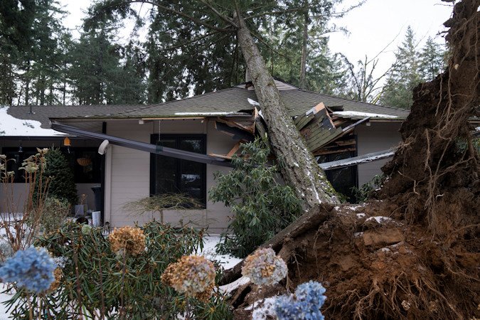 A tree rests on a home after a storm moved through the area in Lake Oswego.