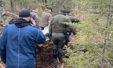 Two missing hikers were rescued in the woods of Steep Falls on Sunday afternoon by Game Wardens and a K9 after they got lost while on a hike.
