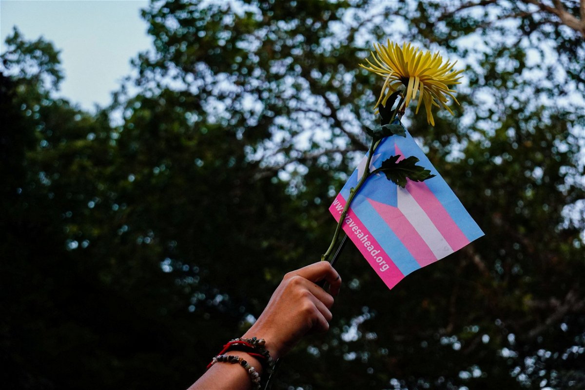 <i>Mikala Compton/American-Statesman/USA Today Network/FILE</i><br/>Protesters rally in support of trans youth outside the Texas Capitol on Tuesday