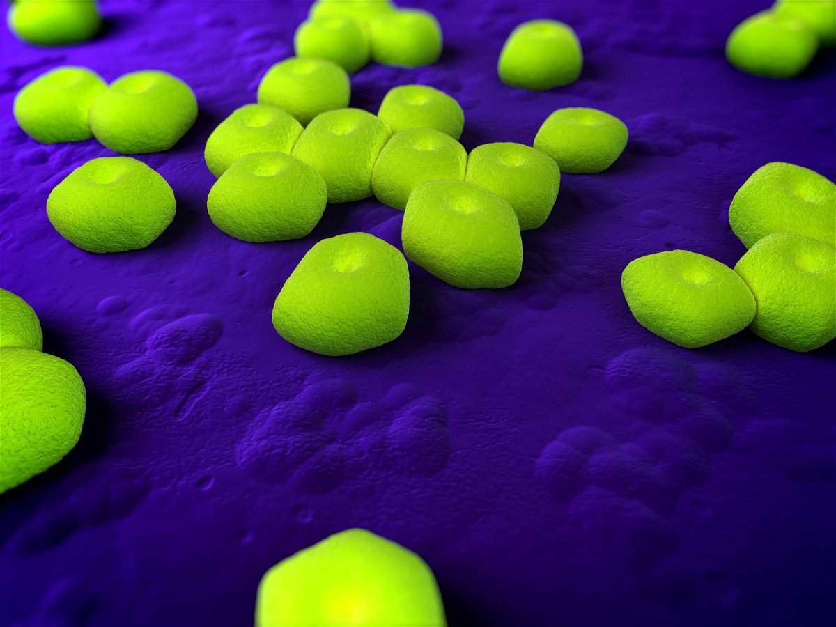 <i>SCIEPRO/Science Photo Library RF/Getty Images</i><br/>Researchers from Harvard University and Hoffmann-La Roche say they have developed an antibiotic to treat the highly resistant bacteria Acinetobacter baumannii.