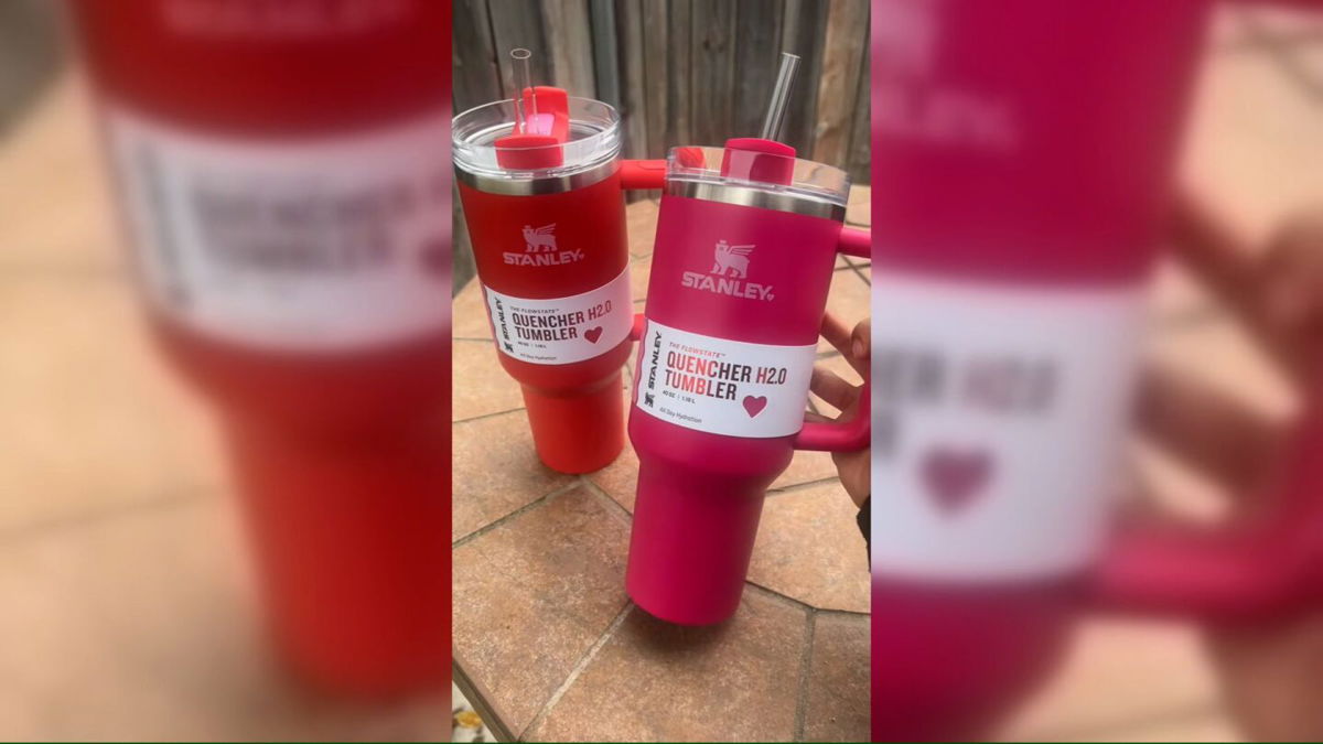 <i>melissa_mariche/TikTok</i><br/>Target launched limited edition Valentine's Day Stanley tumblers on Dec. 31