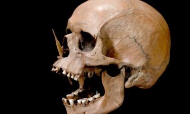 The researchers recovered DNA from the bones of ancient humans to better understand the genetic roots of disease.