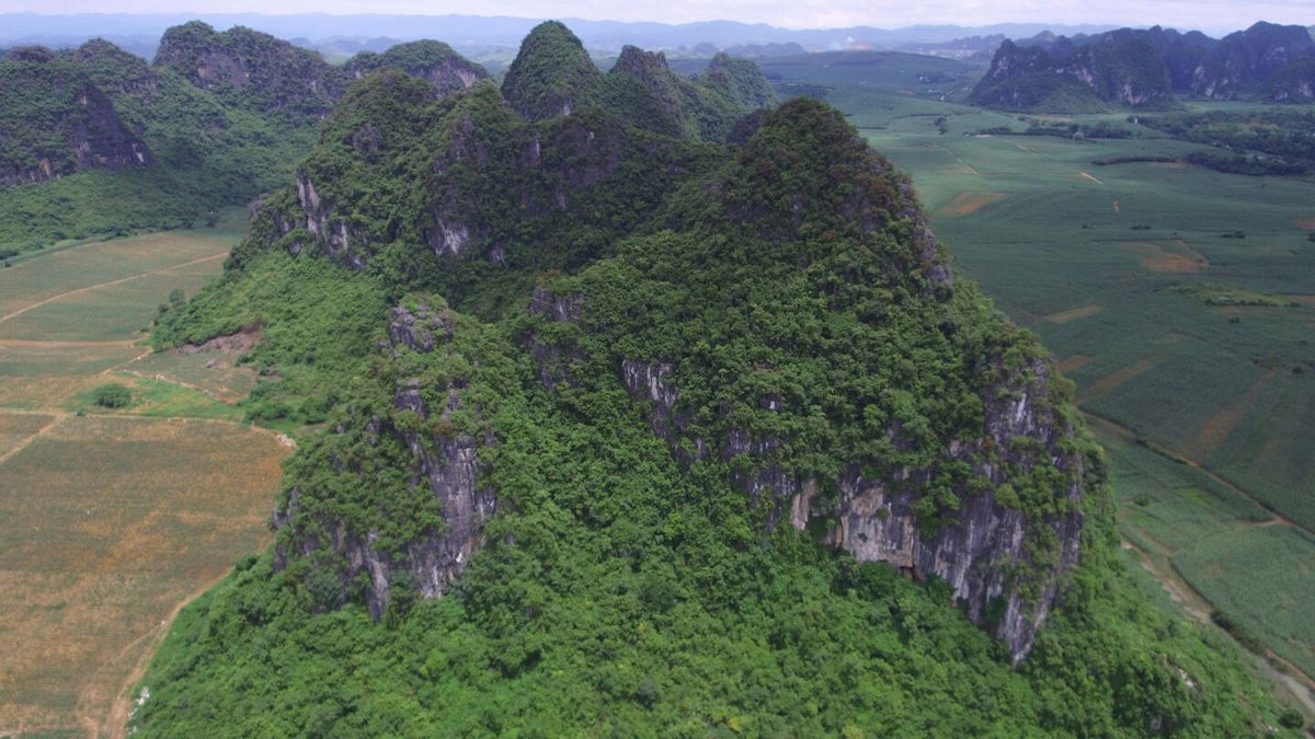 <i>Yingqi Zhang</i><br/>Many of the caves containing Gigantopithecus blacki fossils are in the distinctive karst landscape of China's Guangxi region.