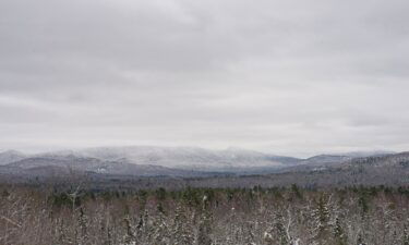 A veteran hiker was no match for the winter landscape of New York's Adirondack Mountains when she lost her footing and fell down a snowy ravine.