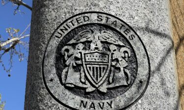 United States Navy emblem on a circular surface with surrounding trees