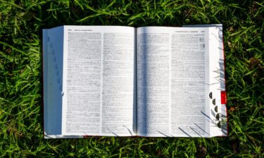 A Merriam-Webster's dictionary is placed on a lawn on January 11