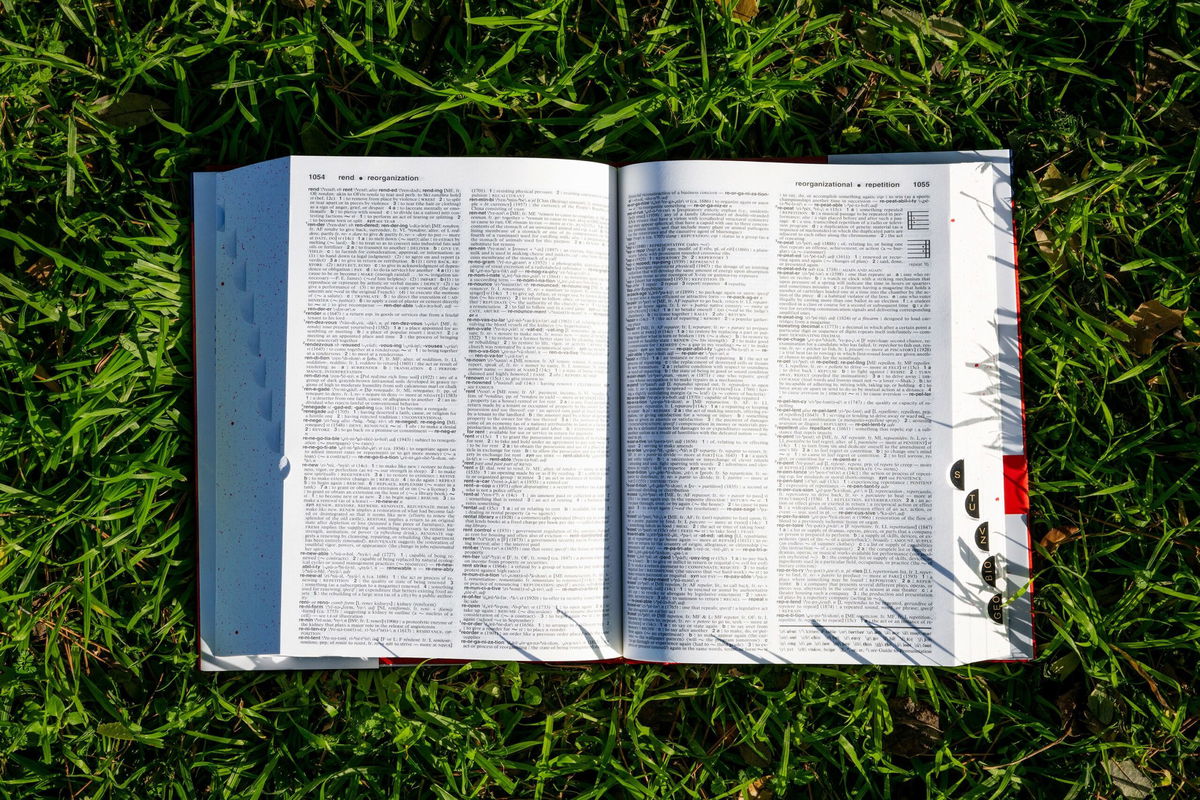 <i>Brandon Bell/Getty Images</i><br/>A Merriam-Webster's dictionary is placed on a lawn on January 11