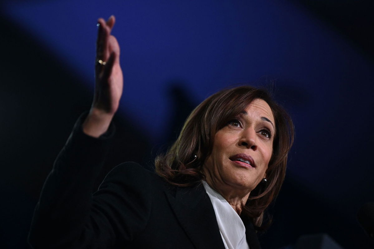 <i>Andrew Caballero-Reynolds/AFP/Getty Images</i><br/>In an interview with ABC News. Vice President Kamala