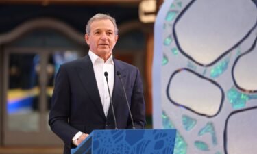 Disney CEO Bob Iger raked in $31.6 million in compensation last year.