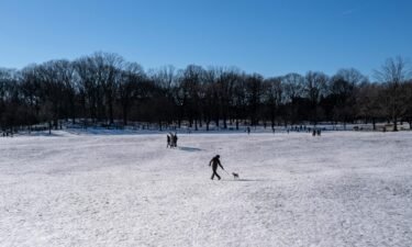 People walk through the snow in Brooklyn's Prospect Park on a cold winter afternoon in New York City on January 21.