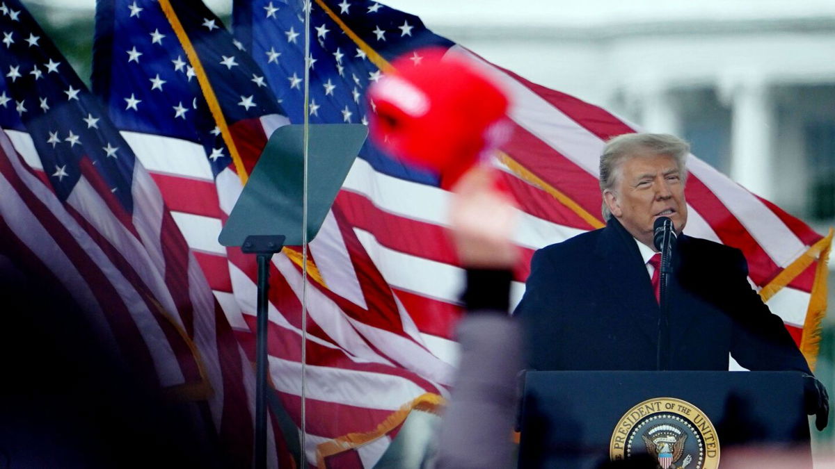 <i>Mandel Ngan/AFP/Getty Images/File</i><br/>President Donald Trump speaks to supporters from The Ellipse near the White House on January 6