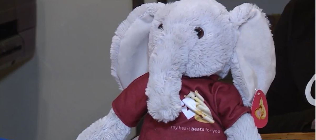 <i>KOCO via CNN Newsource</i><br/>An Oklahoma homebuilding company is on a mission to help return a lost stuffed elephant.