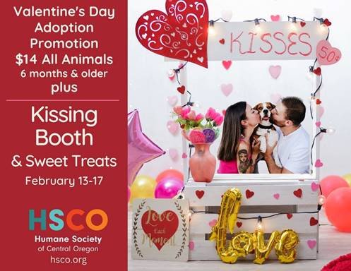 Valentine's Day adoption specials kissing booth HSCO