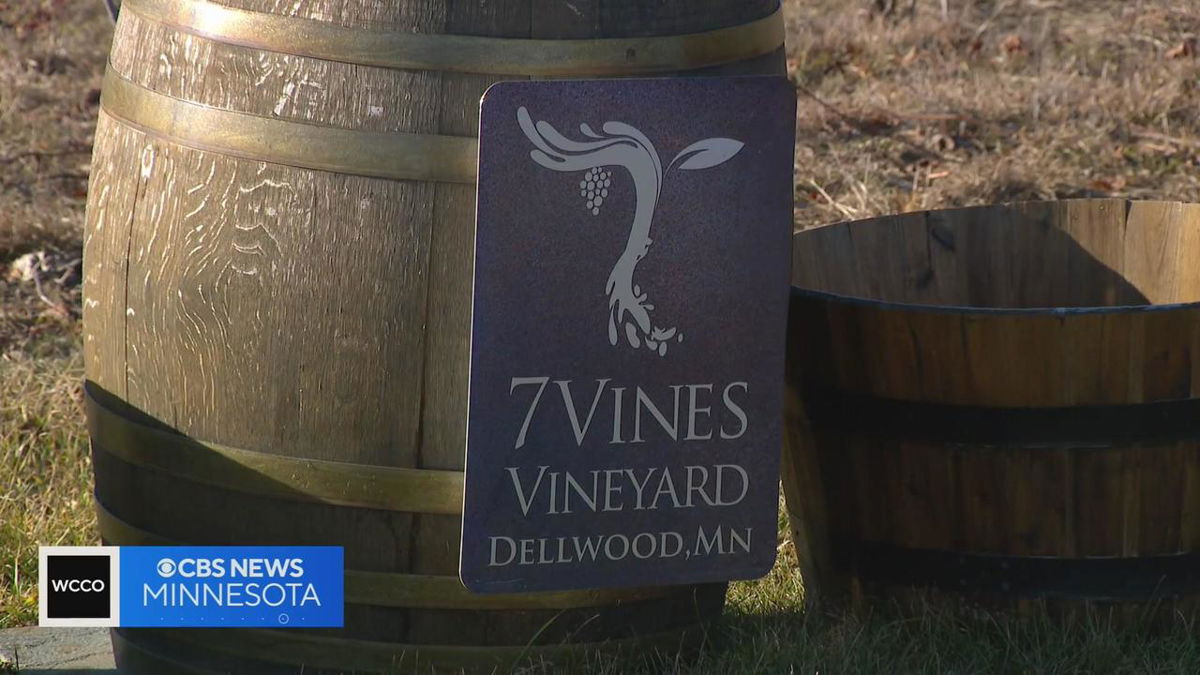 <i>WCCO</i><br/>Warm winter weather is forcing Minnesota vineyards into unprecedented territory.
