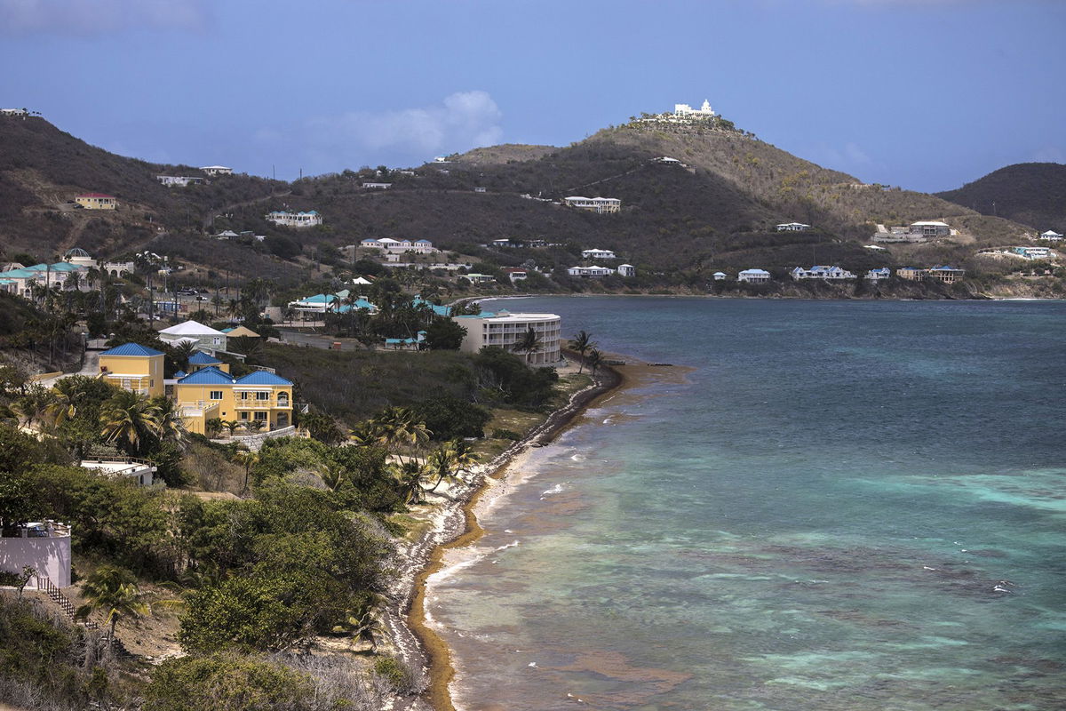 <i>Ivan Valencia/Bloomberg/Getty Images</i><br/>Cane Bay beach in Saint Croix in 2021. Scientists used samples from sclerosponges in this region to calculate ocean surface temperatures going back 300 years.