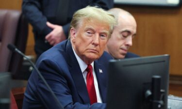 Former President Donald Trump appears during a court hearing on charges of falsifying business records to cover up a hush money payment to a porn star before the 2016 election