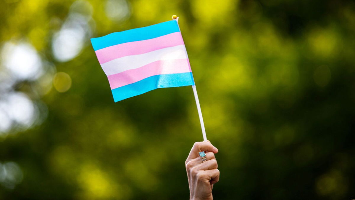 <i>Demetrius Freeman/Reuters</i><br/>The 2022 US Transgender Survey offers insights into the lives and experiences of transgender Americans.
