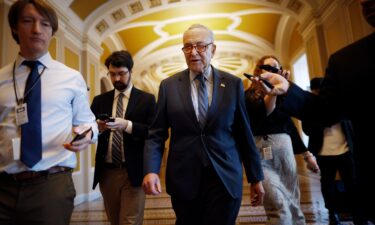 Senate Majority Leader Charles Schumer talks to reporters as he walks to his office at the US Capitol on February 7