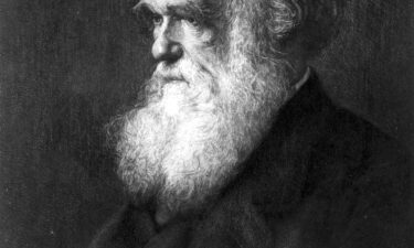 Charles Darwin is depicted circa 1880 in a painting by Walter William Ouless.