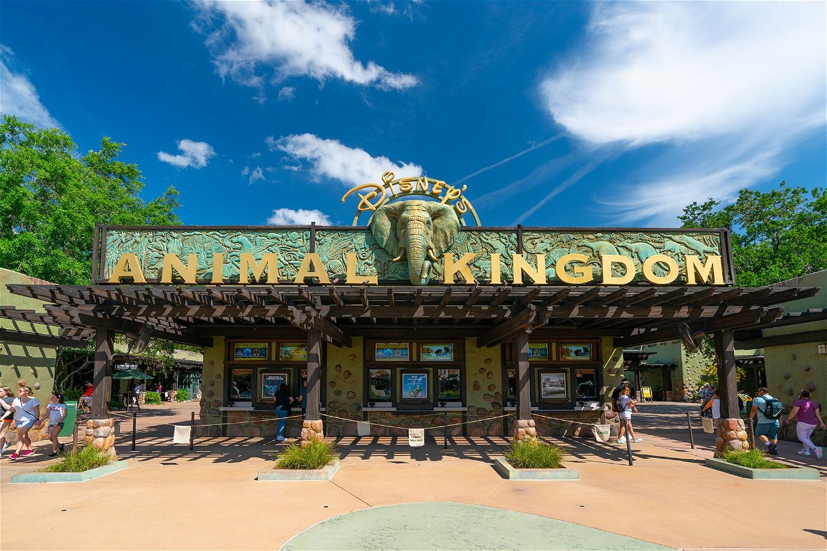 <i>AaronP/Bauer-Griffin/GC Images/Getty Images via CNN Newsource</i><br/>The lowest single-day price for Animal Kingdom has gone up by $10 for 2025 tickets.