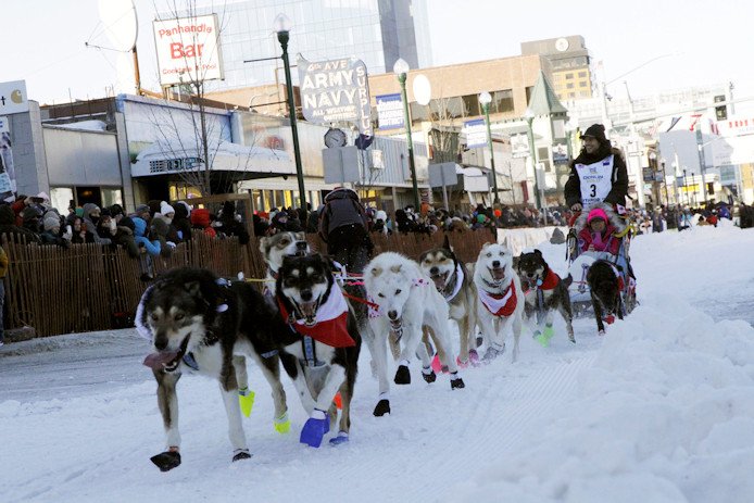 Musher Connor McMahon of Carcross, Yukon Territory, Canada, wearing big No. 3, takes an auction winner in his sled 11 miles over the streets of Anchorage, Alaska, during the Saturday ceremonial start of the Iditarod Trail Sled Dog Race.