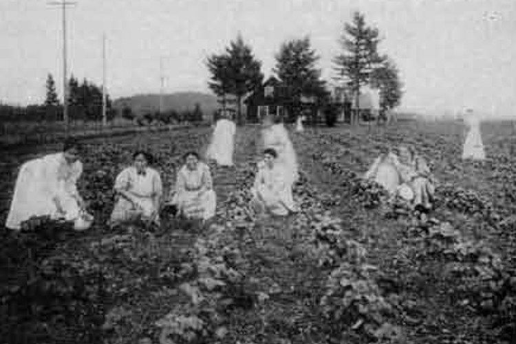 his undated image provided by the Alaska State Library shows Alaska Natives among strawberries at Morningside Hospital in Portland, Ore. Volunteers have spent years digging through old records to identify about 5,500 Alaskans who were committed to a mental hospital in Oregon before Alaska gained statehood.