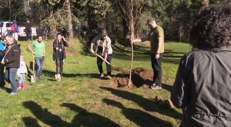 Trees were planted Saturday in honor of 2021 heat wave victims