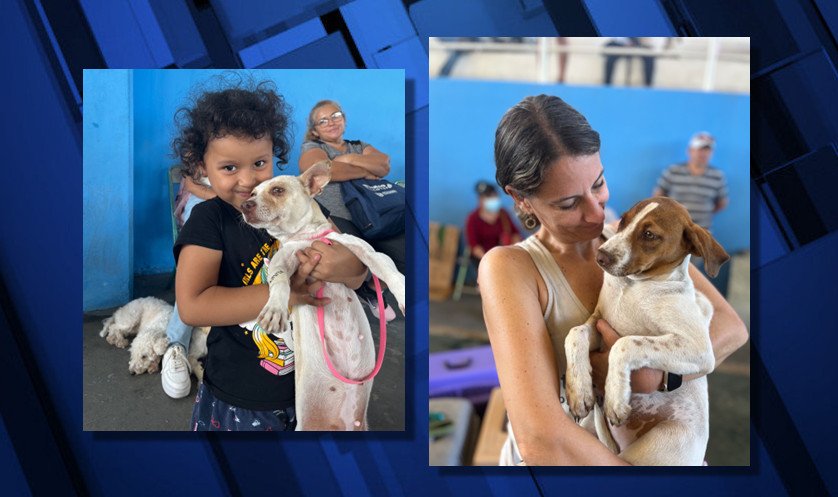 Street Dog Hero's clinic in Kanasìn, Mexico sterilized 895 animals in three days, their biggest spay/neuter event yet, helping to keep an estimated 67 million dogs and cats off the streets.