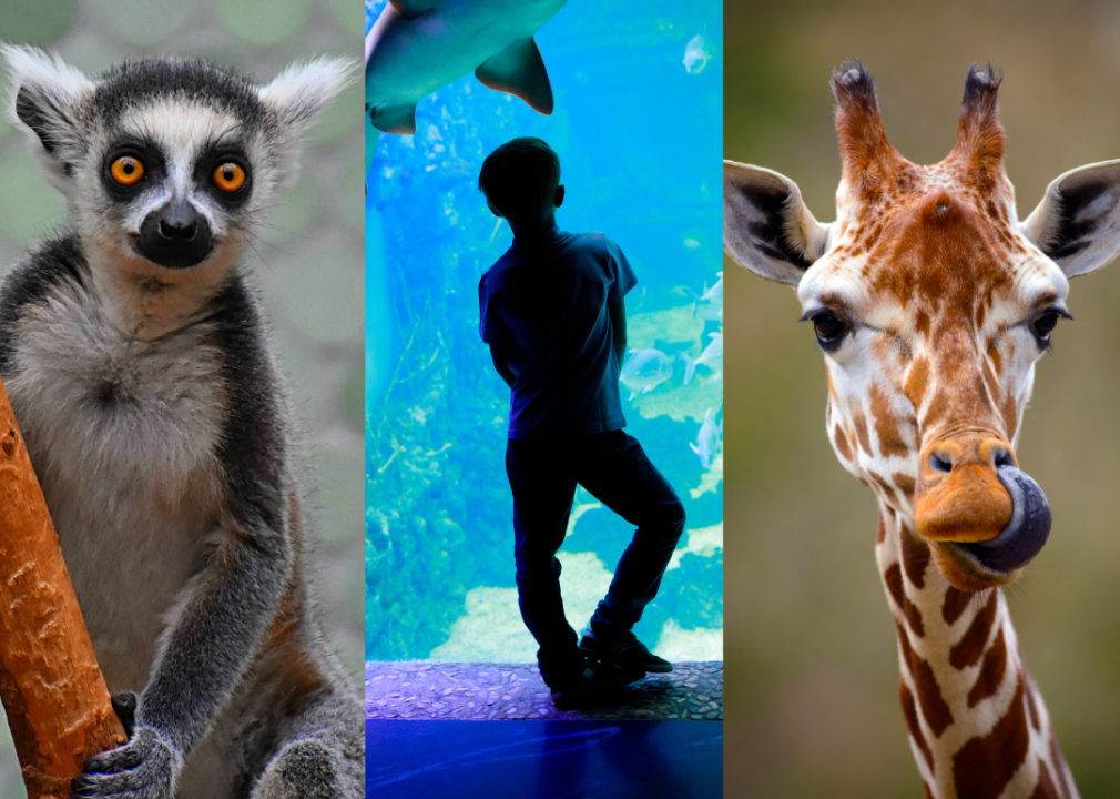 The best zoos and aquariums in Oregon