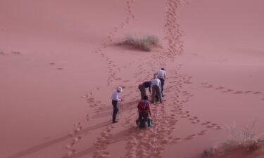 Geology students from the University of London's Birkbeck College survey the star dune at Erg Chebbi.