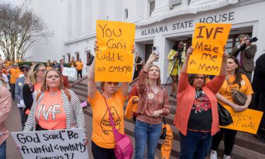 Protesters rally in support of in vitro fertilization legislation at the Alabama State House in Montgomery last month.