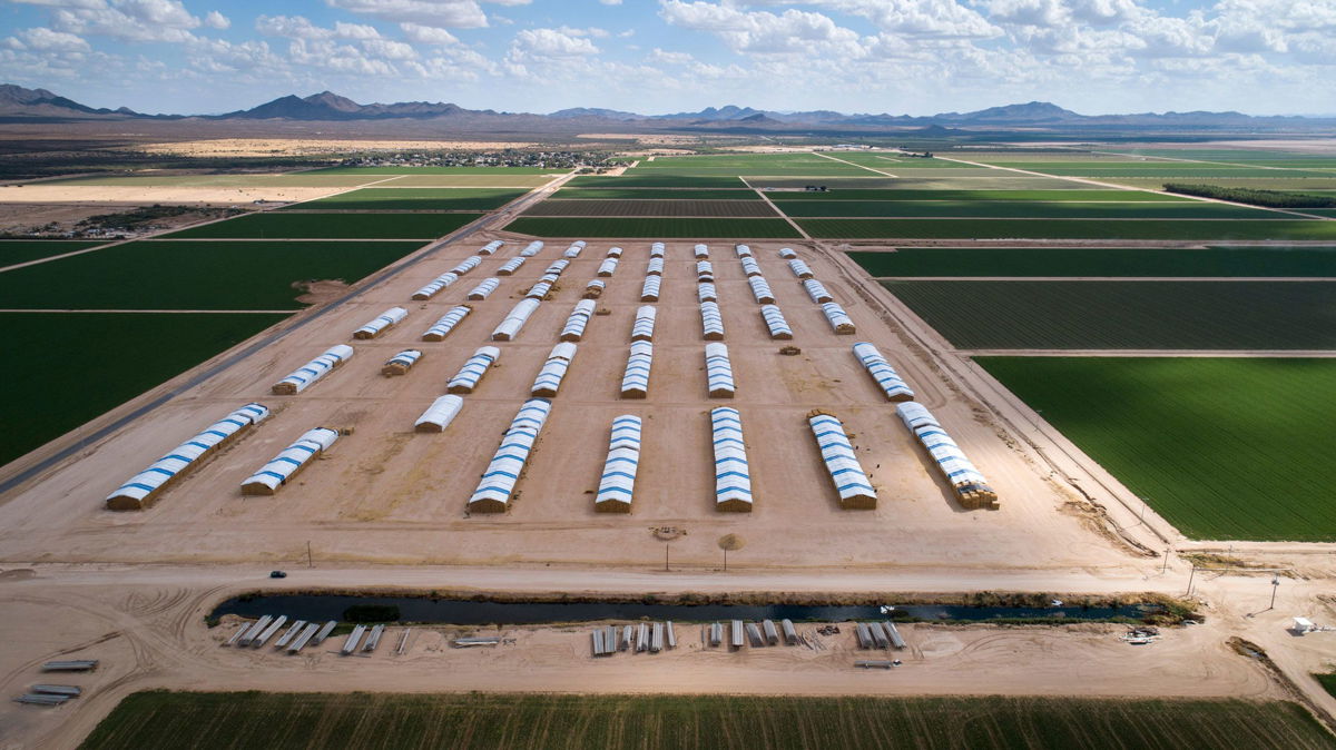 <i>Michael Chow/The Arizona Republic/USA Today Network/File via CNN Newsource</i><br/>Hay is stacked in rows at Al Dahra Farms' McMullen Valley Ranch in Wenden