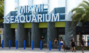 Visitors exit the Miami Seaquarium on March 7. The company that runs the property has been notified it must vacate by April 21.