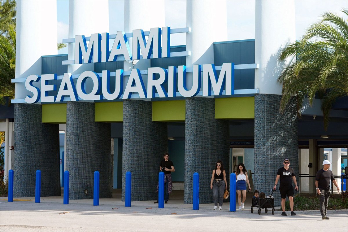 <i>Marta Lavandier/AP via CNN Newsource</i><br/>Visitors exit the Miami Seaquarium on March 7. The company that runs the property has been notified it must vacate by April 21.