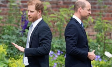 Prince Harry and Prince William jointly attended the unveiling of a statue of Diana in London in 2021.