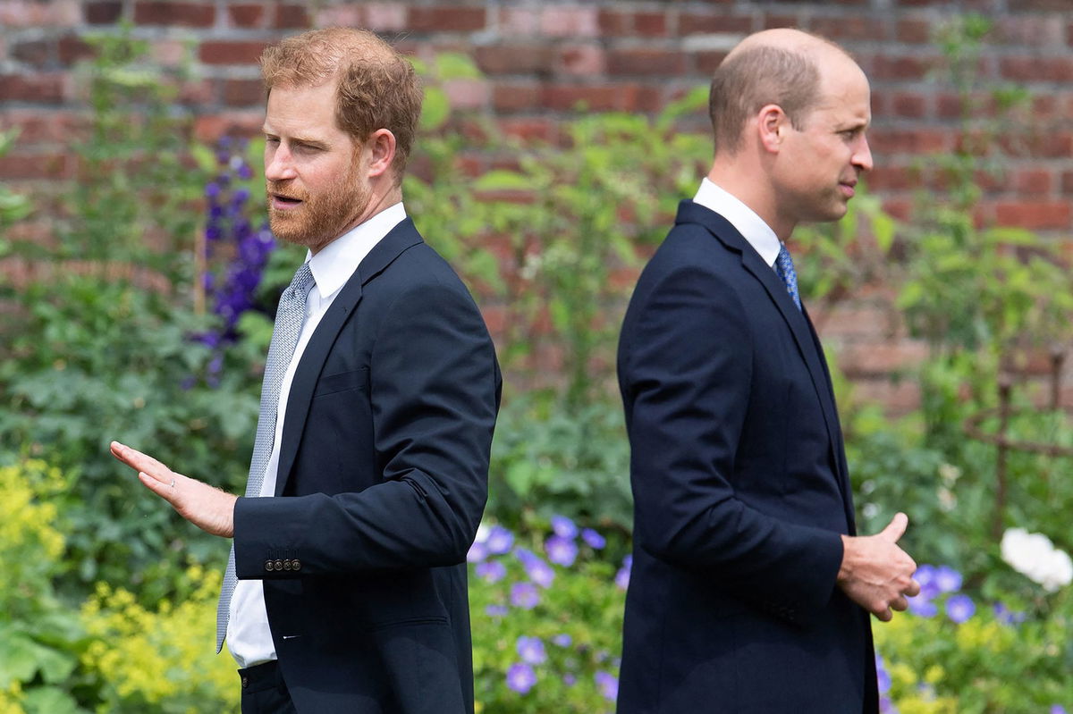 <i>Dominic Lipinski/AFP/Getty Images via CNN Newsource</i><br/>Prince Harry and Prince William jointly attended the unveiling of a statue of Diana in London in 2021.