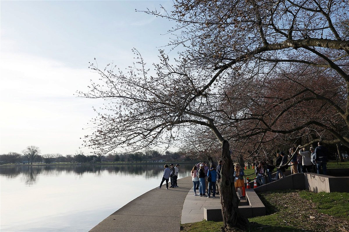 <i>Anna Moneymaker/Getty Images via CNN Newsource</i><br/>A student tour group walks past the cherry blossom trees on the Tidal Basin on March 14