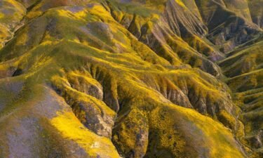 Wildflowers color the hills of the Temblor Range at Carrizo Plain National Monument on April 26