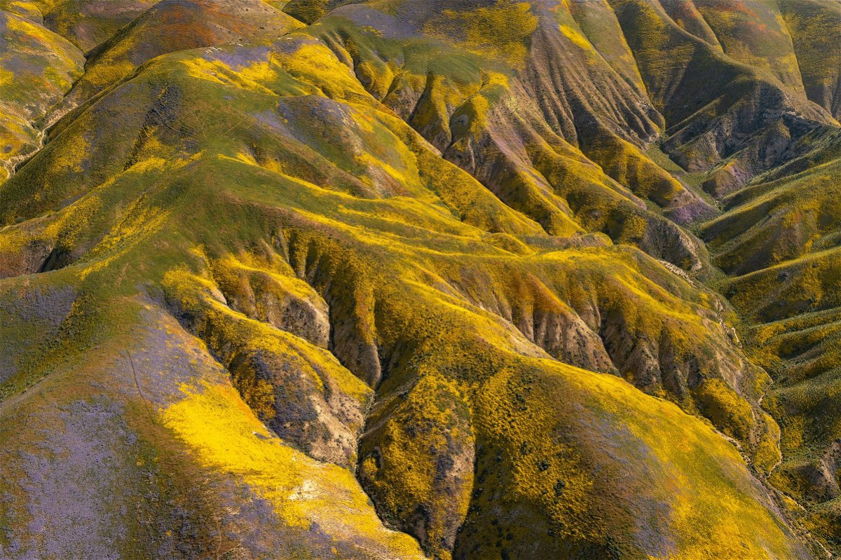 <i>David McNew/Getty Images/File via CNN Newsource</i><br/>Wildflowers color the hills of the Temblor Range at Carrizo Plain National Monument on April 26