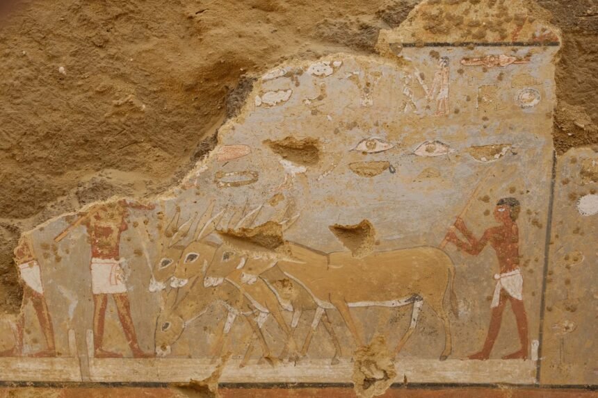Colorful paintings of daily life discovered in 4,300-year-old Egyptian tomb