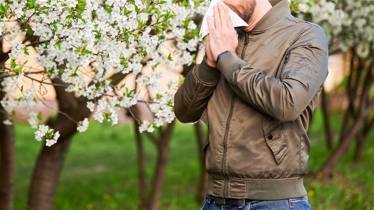<i>anatoliy_gleb/iStockphoto/Getty Images via CNN Newsource</i><br/>If you're severely allergic to pollen
