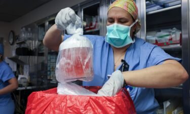 Nursing practice specialist Melissa Mattola-Kiatos removes the pig kidney from its box to prepare for transplantation.