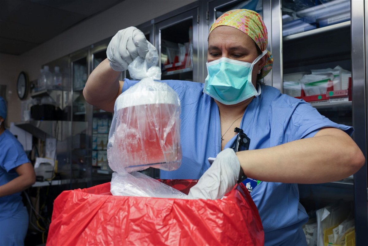 <i>Massachusetts General Hospital via CNN Newsource</i><br/>Nursing practice specialist Melissa Mattola-Kiatos removes the pig kidney from its box to prepare for transplantation.