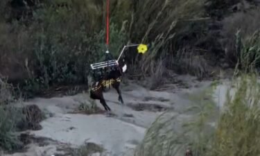 A horse was airlifted to safety nearly 24 hours after getting stuck in the Santa Ana River over the weekend.