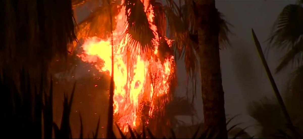 <i>WSVN via CNN Newsource</i><br/>The South Miami-Dade grass fire that prompted a hours-long closure of the Florida Turnpike is 90% contained.